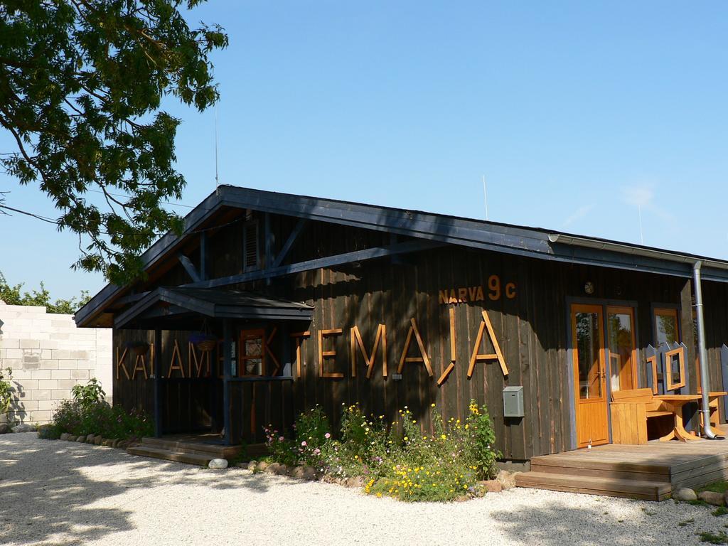 Hostel Kalameeste Maja Mustvee Esterno foto